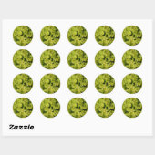 Sticker Rond Beau feuillage vert (Feuille)
