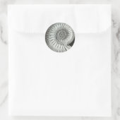 Sticker Rond Beau gros plan en ammonite design (Sac)