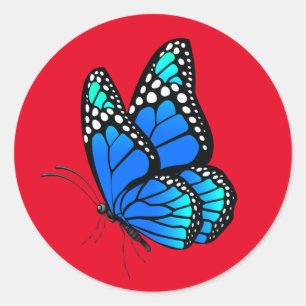 Sticker Rond Beau papillon illustré
