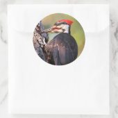 Sticker Rond Beau pic pilé sur l'arbre (Sac)