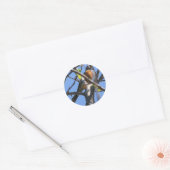Sticker Rond Beau Robin dans l'arbre (Enveloppe)