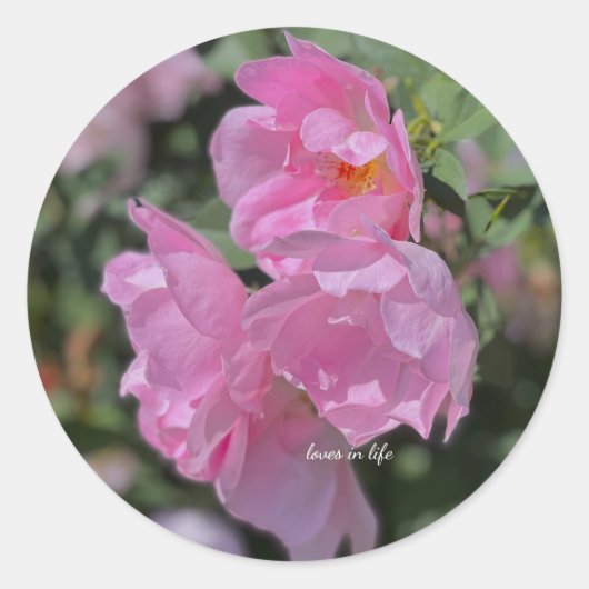 Sticker Rond Beau Roses rose pâle (Devant)