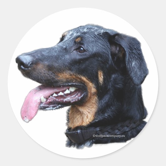 Sticker Rond beauceron (Devant)