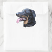 Sticker Rond beauceron (Sac)