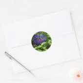 Sticker Rond Beauté bleue (Enveloppe)