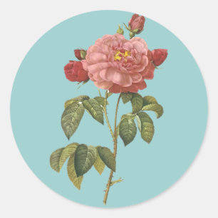 Sticker Rond Beauté botanique française *Fleurs Vintages*