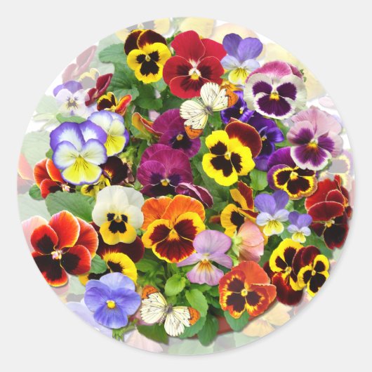 Sticker Rond Beauté de Pansy avec papillons (Devant)