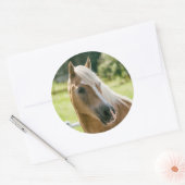 Sticker Rond Beautiful haflinger horse (Enveloppe)