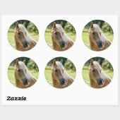 Sticker Rond Beautiful haflinger horse (Feuille)