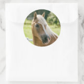 Sticker Rond Beautiful haflinger horse (Sac)