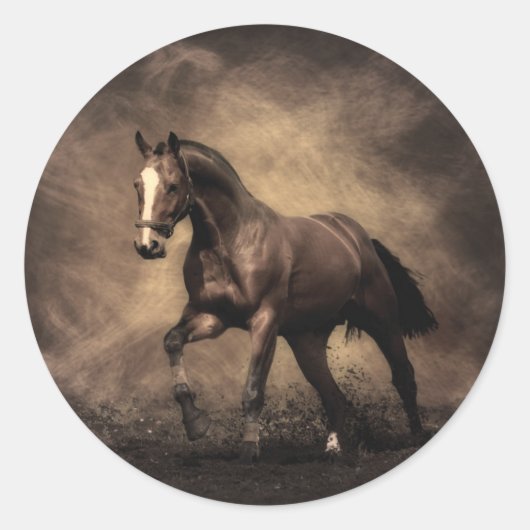 Sticker Rond Beautiful horse throw pillow (Devant)