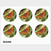 Sticker Rond Beautiful Orange Satyr Comma Butterfly (Feuille)