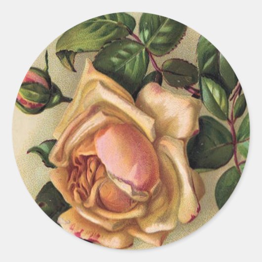 Sticker Rond *Beaux Roses Vintages* (Devant)