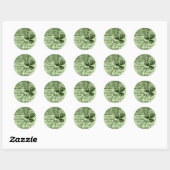 Sticker Rond Beaux shamrocks (Feuille)