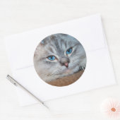 Sticker Rond Beaux yeux bleu chat (Enveloppe)