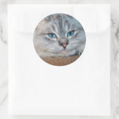 Sticker Rond Beaux yeux bleu chat (Sac)
