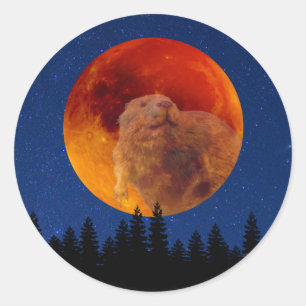Sticker Rond Beaver Moon en novembre