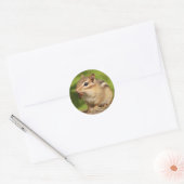 Sticker Rond Bébé adorable Chipmunk avec Snack (Enveloppe)