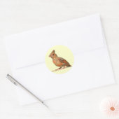 Sticker Rond Bébé Cardinal (Enveloppe)