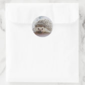 Sticker Rond Bébé hérisson (Sac)