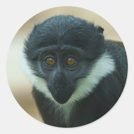 Sticker Rond Bébé L’Hoest Monkey Metal Impression (Devant)