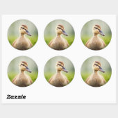 Sticker Rond Bébé Mallard Ducking (Feuille)