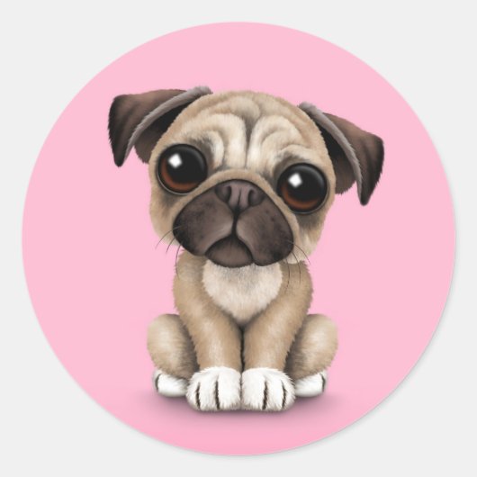 Sticker Rond Bébé mignon Carlin Chien chiot sur rose (Devant)