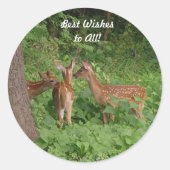 Sticker Rond Bébé mignon Cerf Meilleurs voeux (Devant)