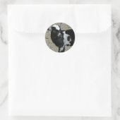 Sticker Rond Bébé noir et blanc mignon photo chèvre (Sac)