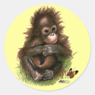 Sticker Rond Bébé orang-outan et papillon