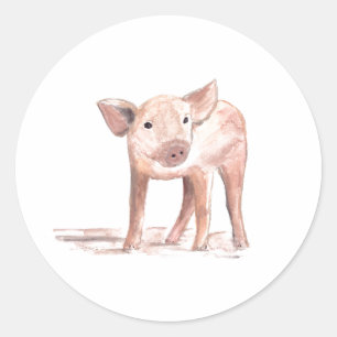 Sticker Rond Bébé porcelet cochon art Animal Aquarelle ferme