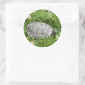 Sticker Rond Bébé rouge oreille tortue coulissante (Sac)