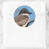 Sticker Rond Bécasseau de l'Est sur une branche (Sac)