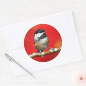 Sticker Rond Bécasseau noir sur Arrière - plan rouge d'automne (Enveloppe)