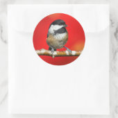 Sticker Rond Bécasseau noir sur Arrière - plan rouge d'automne (Sac)