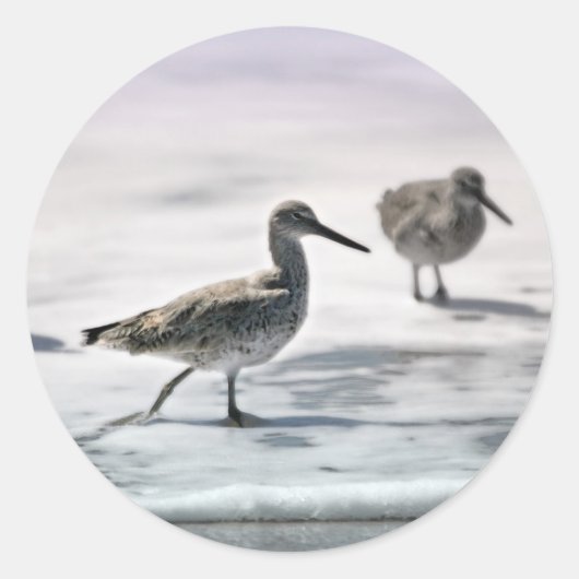 Sticker Rond Bécasseaux (Devant)