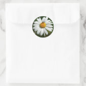 Sticker Rond Bee on Daisy Alaskan Summer Nature (Sac)