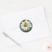Sticker Rond Bee on Daisy Alaskan Summer Nature (Enveloppe)