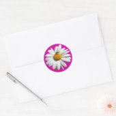 Sticker Rond Bee on Daisy Alaskan Summer Nature (Enveloppe)