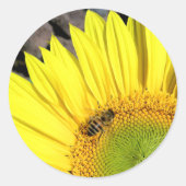 Sticker Rond Bee On Sunflower Close Up Photographie (Devant)