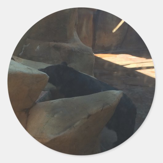 Sticker Rond Bel Ours Noir Grimpant (Devant)