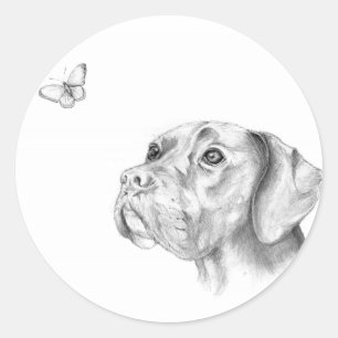 Sticker Rond Bella un chien Boxer Labrador Retriever Papillon