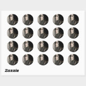 Sticker Rond Bellatrix Lestrange 2 (Feuille)
