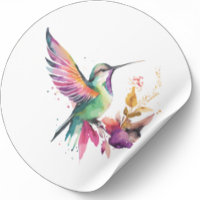Belle aquarelle colibri illustration