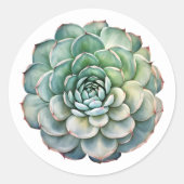 Sticker Rond Belle Aquarelle Succulente (Devant)