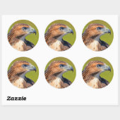 Sticker Rond Belle Buse à queue rousse (Feuille)