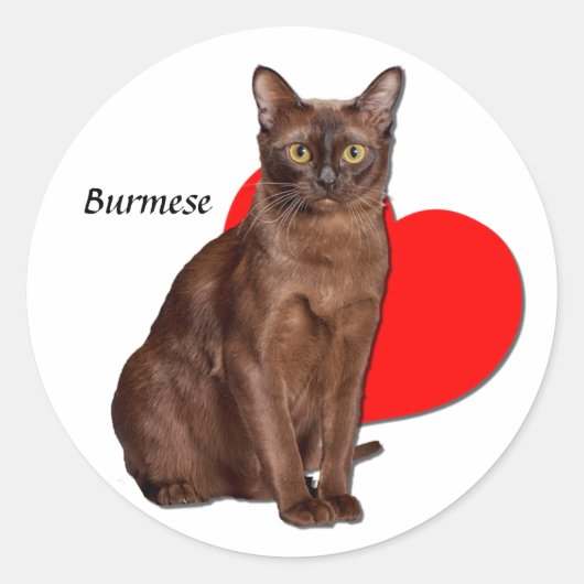 Sticker Rond Belle Chat Birman Doré Moggy Heart Love (Devant)