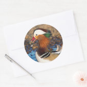 Sticker Rond Belle Chatty Mandarin Canard à l'étang (Enveloppe)
