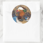 Sticker Rond Belle Chatty Mandarin Canard à l'étang (Sac)