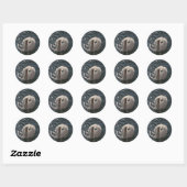 Sticker Rond Belle cygne blanc (Feuille)